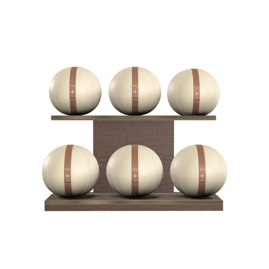 PENT. MOXA Set Ultimate - In Gold - Set of 6 Medicine Balls on Horizontal Wooden Stand - 4, 8, 12, 16, 20, 24 KG