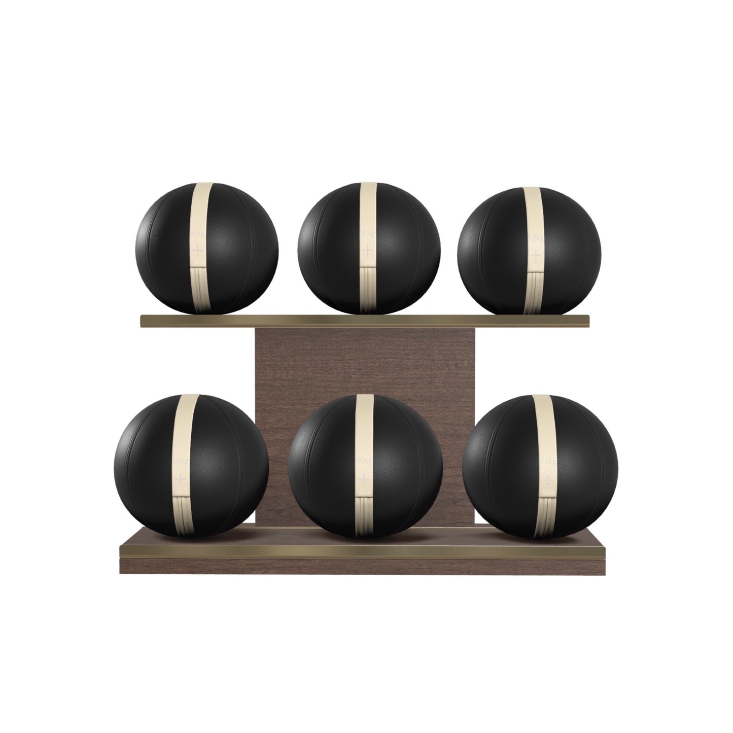 PENT. MOXA Set Ultimate - In Gold - Set of 6 Medicine Balls on Horizontal Wooden Stand - 4, 8, 12, 16, 20, 24 KG