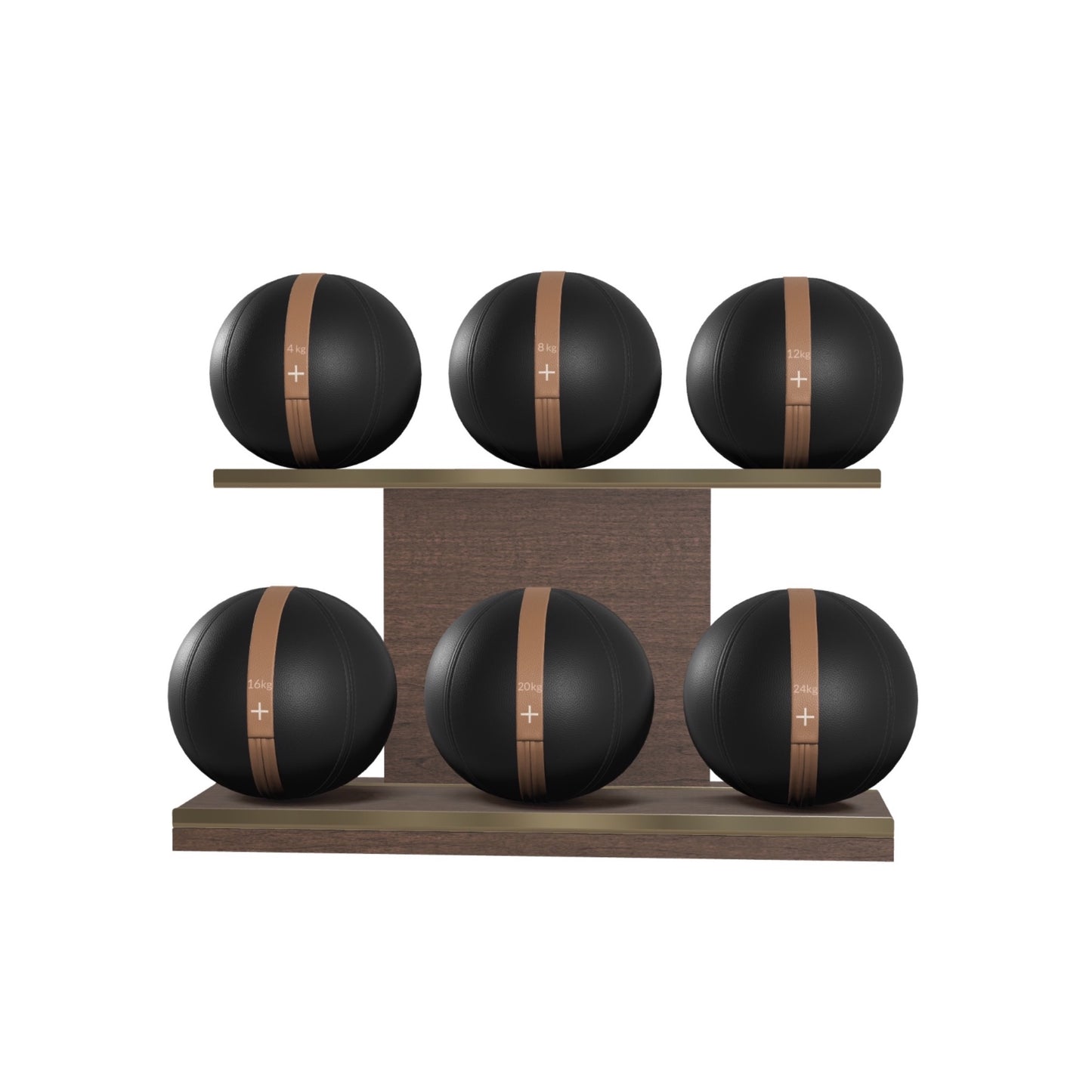PENT. MOXA Set Ultimate - In Gold - Set of 6 Medicine Balls on Horizontal Wooden Stand - 4, 8, 12, 16, 20, 24 KG