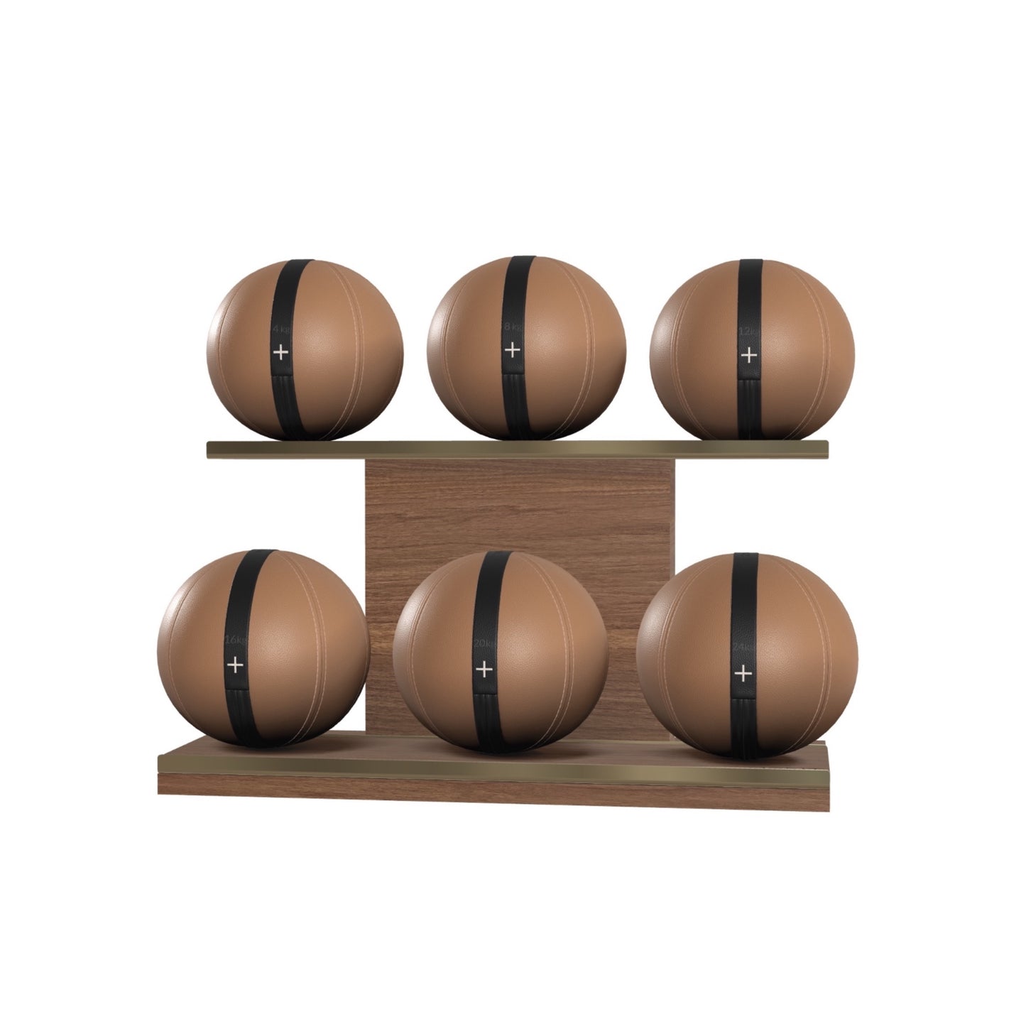PENT. MOXA Set Ultimate - In Gold - Set of 6 Medicine Balls on Horizontal Wooden Stand - 4, 8, 12, 16, 20, 24 KG