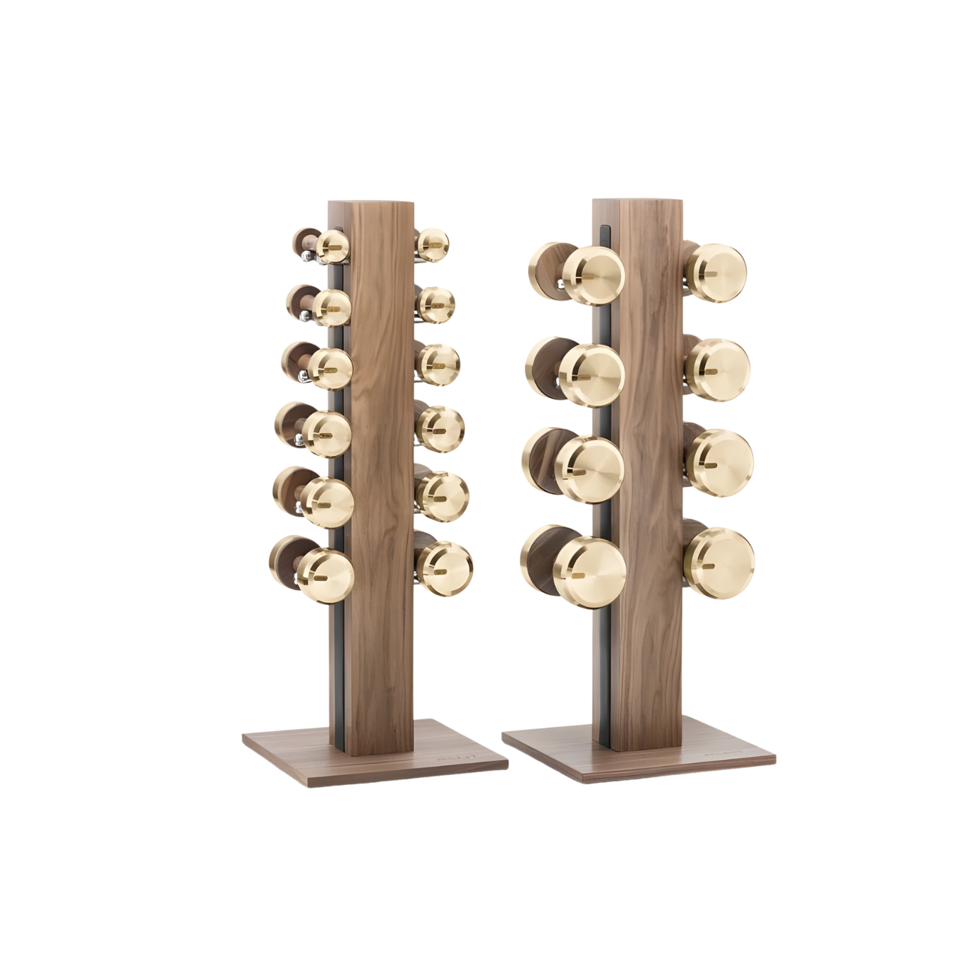 PENT. COLMIA Set - In Gold - Dumbbells on a Vertical Wooden Stand