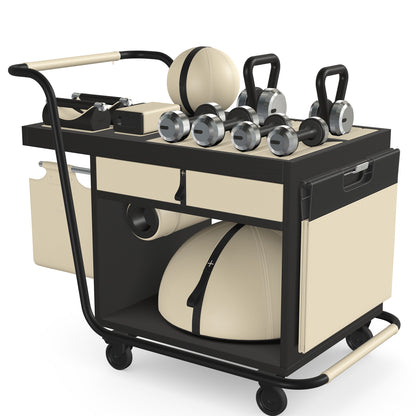 PENT. SOPHIA: dumbbells, kettlebells, balance trainer, medicine ball, skipping rope, exercise mat, push up bars, yoga block and stretching roller. Made with stainless steel, premium Italian beige base leather, black accent leather and black ash wood.