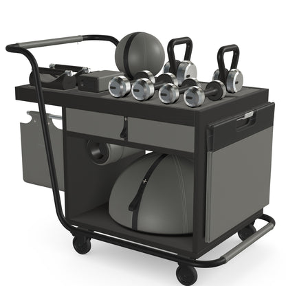 PENT. SOPHIA: dumbbells, kettlebells, balance trainer, medicine ball, skipping rope, exercise mat, push up bars, yoga block and stretching roller. Made with stainless steel, premium Italian grey base leather, black accent leather and black ash wood.