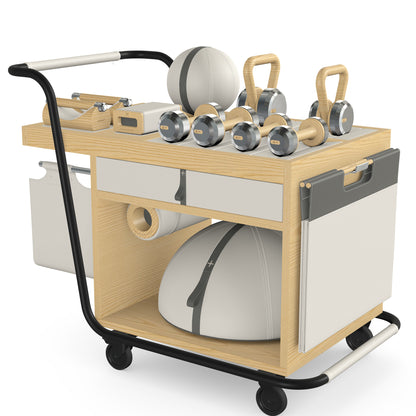 PENT. SOPHIA: dumbbells, kettlebells, balance trainer, medicine ball, skipping rope, exercise mat, push up bars, yoga block and stretching roller. Made with stainless steel, premium Italian white base leather, grey accent leather and natural ash wood.