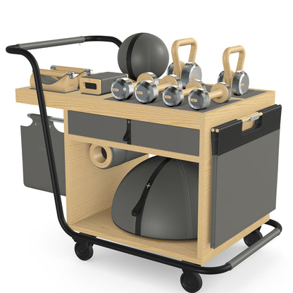 PENT. SOPHIA: dumbbells, kettlebells, balance trainer, medicine ball, skipping rope, exercise mat, push up bars, yoga block and stretching roller. Made with stainless steel, premium Italian grey base leather, black accent leather and natural ash wood.