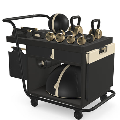 PENT. SOPHIA - In Gold - Luxury Fitness Equipment Mobile Set