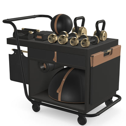 PENT. SOPHIA - In Gold - Luxury Fitness Equipment Mobile Set
