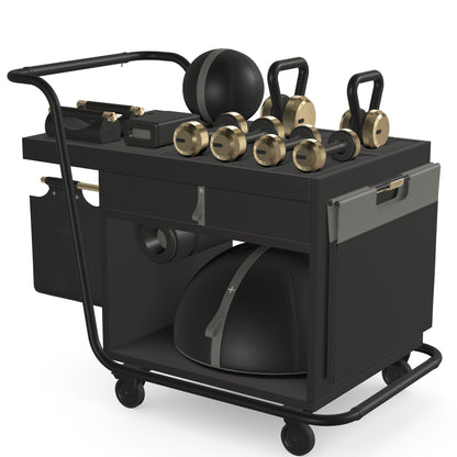 PENT. SOPHIA - In Gold - Luxury Fitness Equipment Mobile Set
