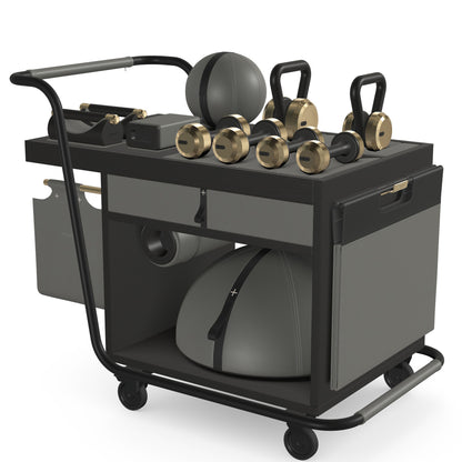 PENT. SOPHIA - In Gold - Luxury Fitness Equipment Mobile Set