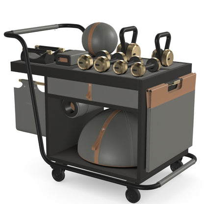 PENT. SOPHIA - In Gold - Luxury Fitness Equipment Mobile Set