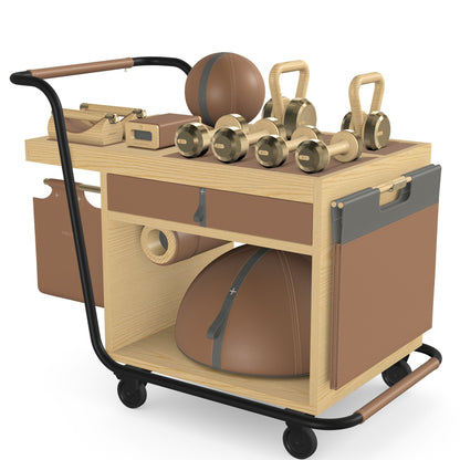 PENT. SOPHIA - In Gold - Luxury Fitness Equipment Mobile Set