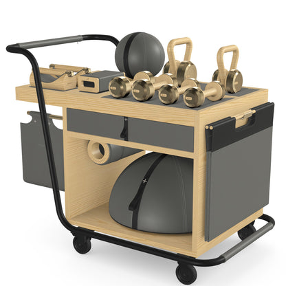 PENT. SOPHIA - In Gold - Luxury Fitness Equipment Mobile Set