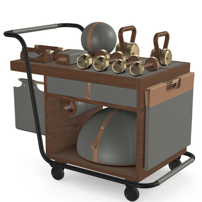 PENT. SOPHIA - In Gold - Luxury Fitness Equipment Mobile Set