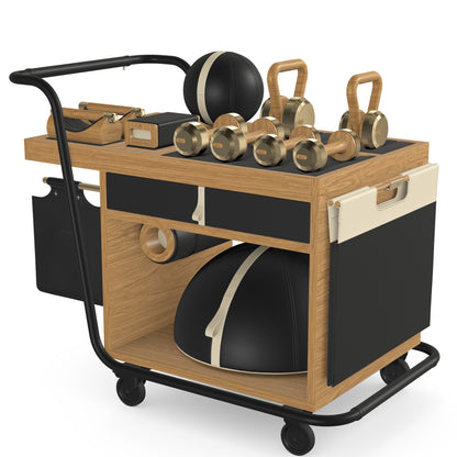 PENT. SOPHIA - In Gold - Luxury Fitness Equipment Mobile Set