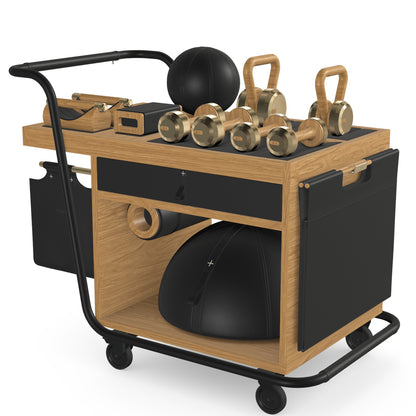 PENT. SOPHIA - In Gold - Luxury Fitness Equipment Mobile Set