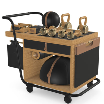 PENT. SOPHIA - In Gold - Luxury Fitness Equipment Mobile Set