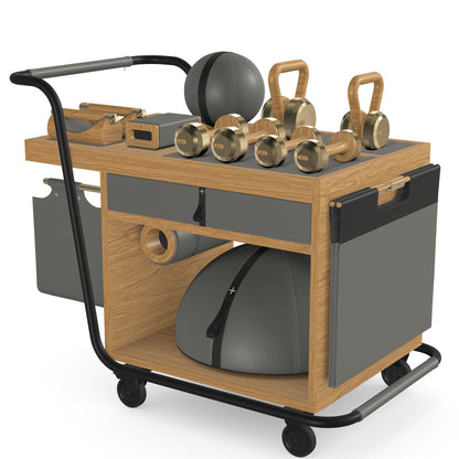 PENT. SOPHIA - In Gold - Luxury Fitness Equipment Mobile Set