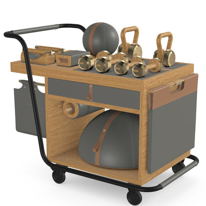 PENT. SOPHIA - In Gold - Luxury Fitness Equipment Mobile Set