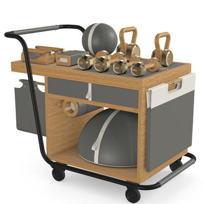PENT. SOPHIA - In Gold - Luxury Fitness Equipment Mobile Set