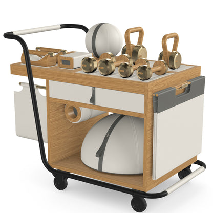 PENT. SOPHIA - In Gold - Luxury Fitness Equipment Mobile Set