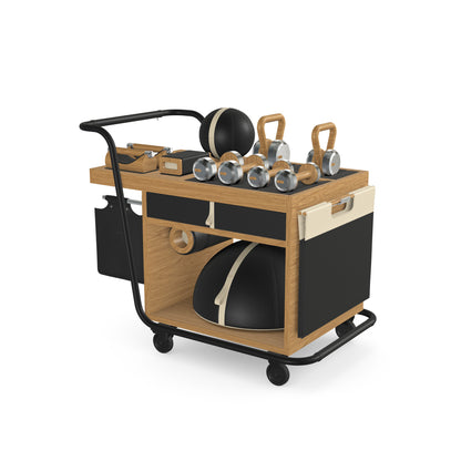 PENT. SOPHIA - Luxury Fitness Equipment Mobile Set