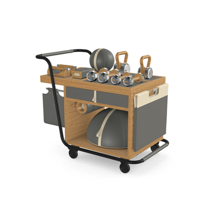 PENT. SOPHIA - Luxury Fitness Equipment Mobile Set