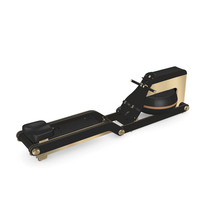 PENT. VISLA - In Gold - Premium Rowing Ergometer