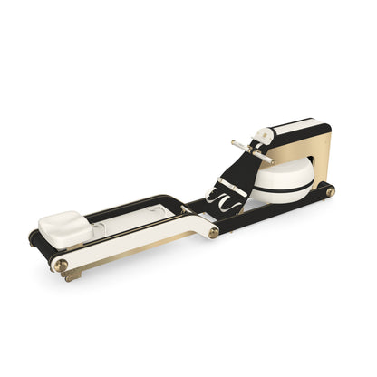 PENT. VISLA - In Gold - Premium Rowing Ergometer