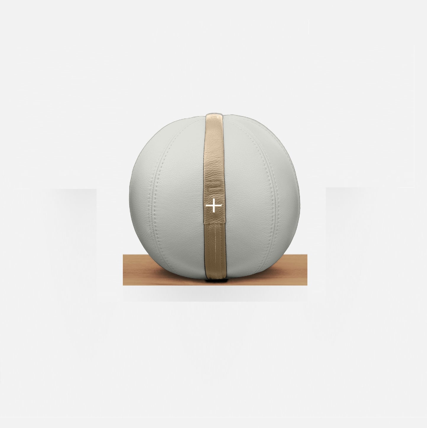 MOXA - Bespoke weighted gym ball