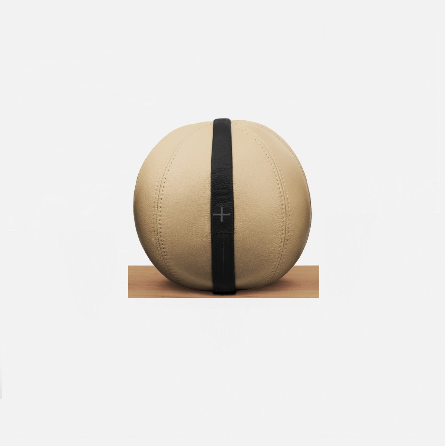 MOXA - Bespoke weighted gym ball