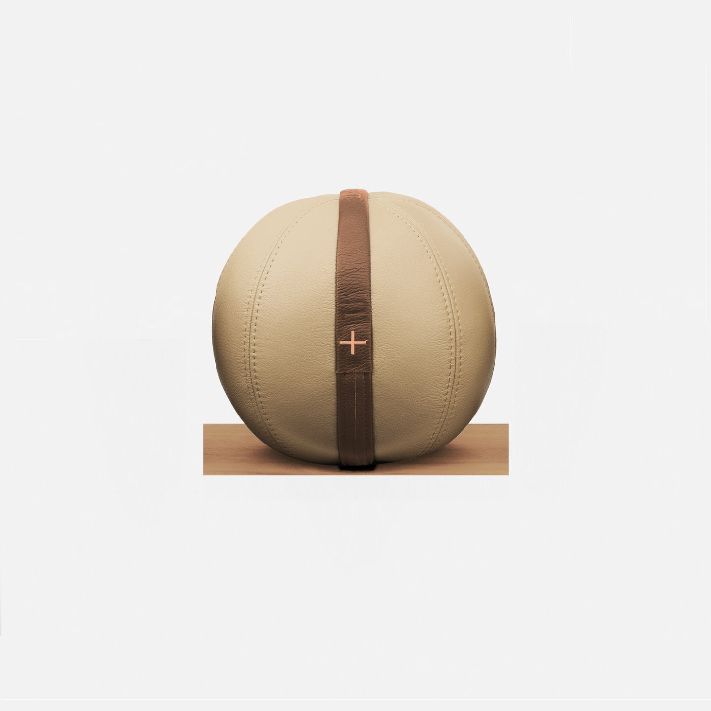 MOXA - Bespoke weighted gym ball